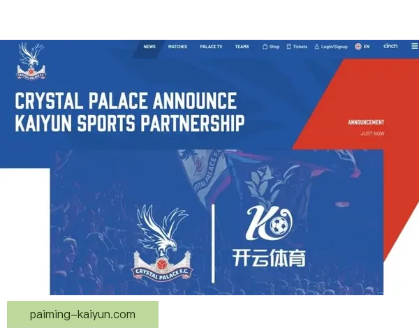 开云体育足球：探索全球足球赛事的精彩与未来发展趋势